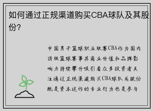 如何通过正规渠道购买CBA球队及其股份？